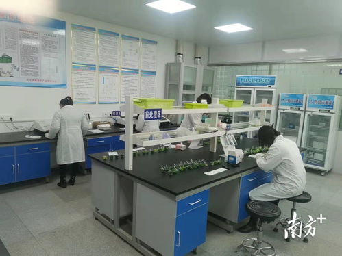 守护“菜篮子”安全，助力放心消费——兴宁市场监管局食用农产品快检中心正式启用