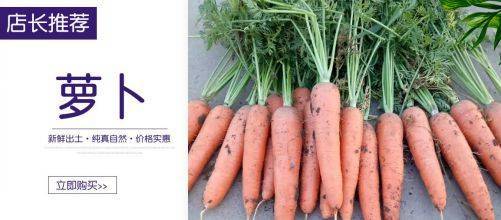 潍坊泉*商贸网站建设平面设计案例作品 打造日用百货销售新体验